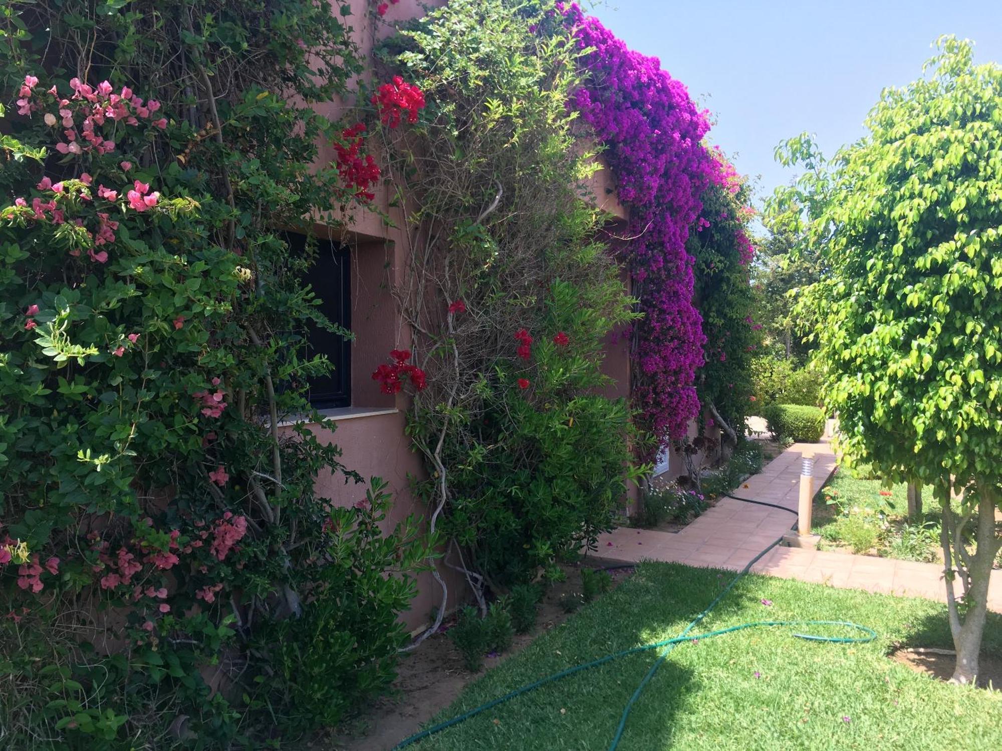 Luxury Villa In La Marsa With Pool Экстерьер фото
